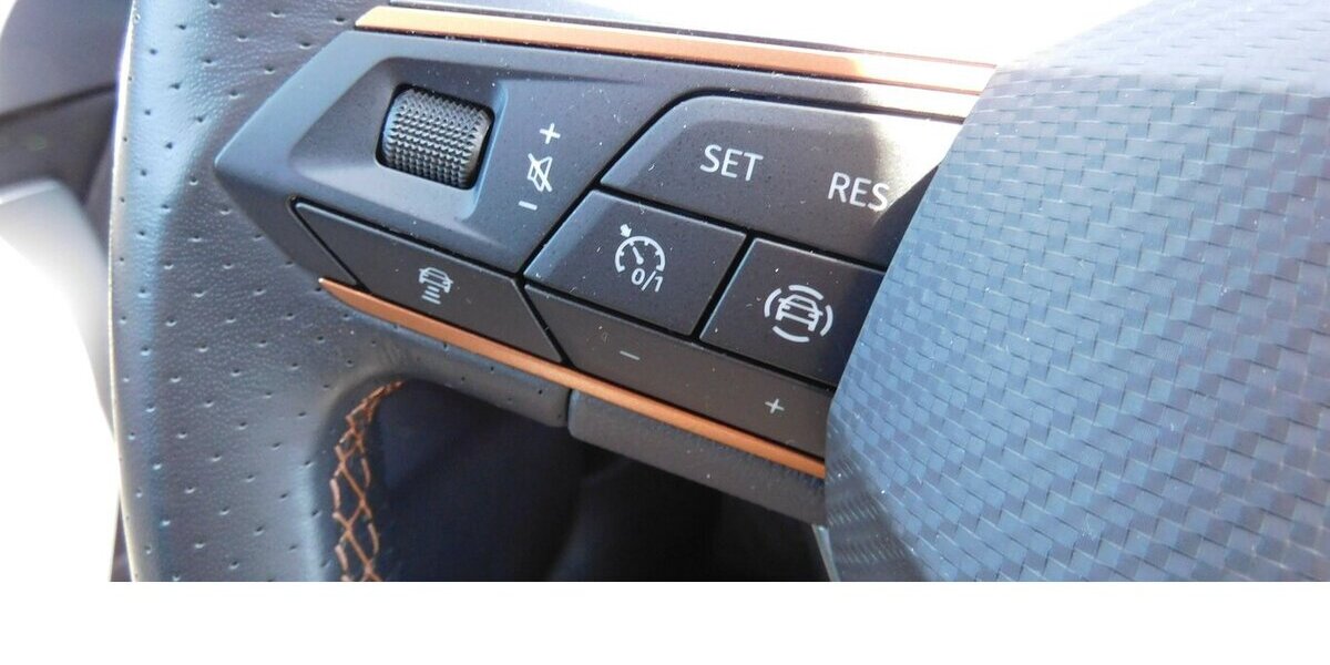 Cupra Formentor 1.5 TSI BMT Klima LED Alu Navi 29.900 km 21.990 &euro; Vordorf 38533
