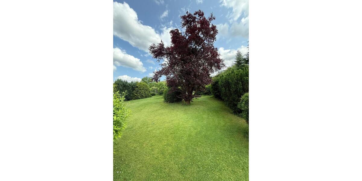 Einfamilienhaus Bad Salzdetfurth - 8 Zimmer, 220 m&sup2;, 290.000&euro; | Angebot:27084195