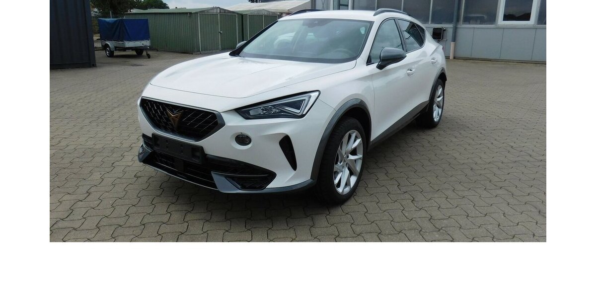 Cupra Formentor 1.5 TSI BMT Klima LED Alu 18.400 km 20.990 &euro; Vordorf 38533