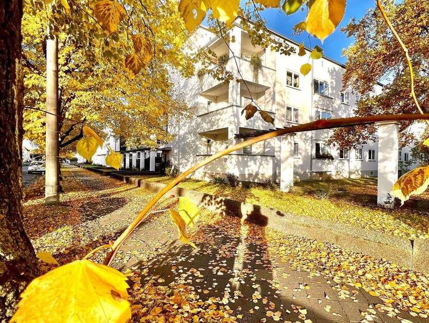 Wohnung zum Mieten in Halle (Saale) 360,67 € 53.04 m²