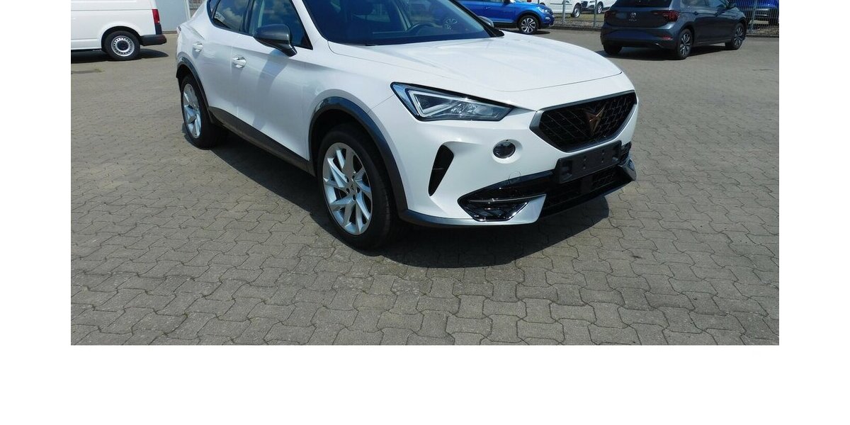 Cupra Formentor 1.5 TSI BMT Navi Klima LED Alu 10.600 km 19.990 &euro; Vordorf 38533