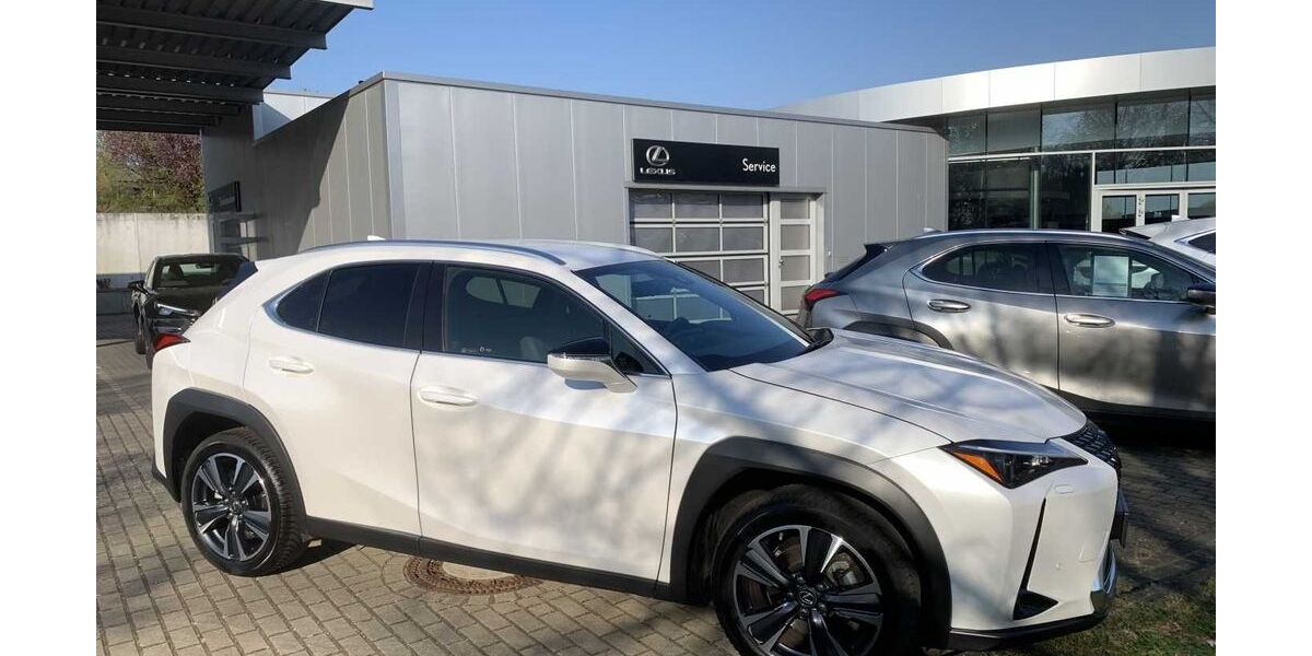 Lexus UX 14.089 km 31.980 &euro; Braunschweig 38114