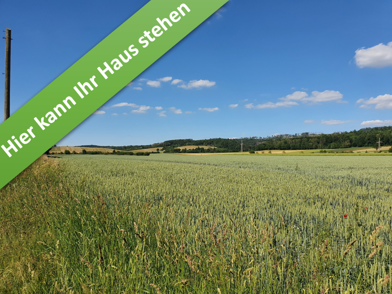 Haus zum Kaufen in Münchehof 341.290 € 130.25 m²