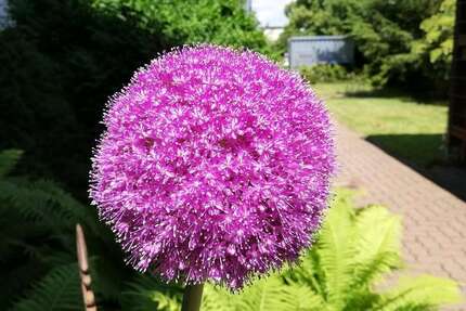 Gewerbeobjekt Wolfenbüttel Adersheim - 4.990&euro; | Angebot:25235343