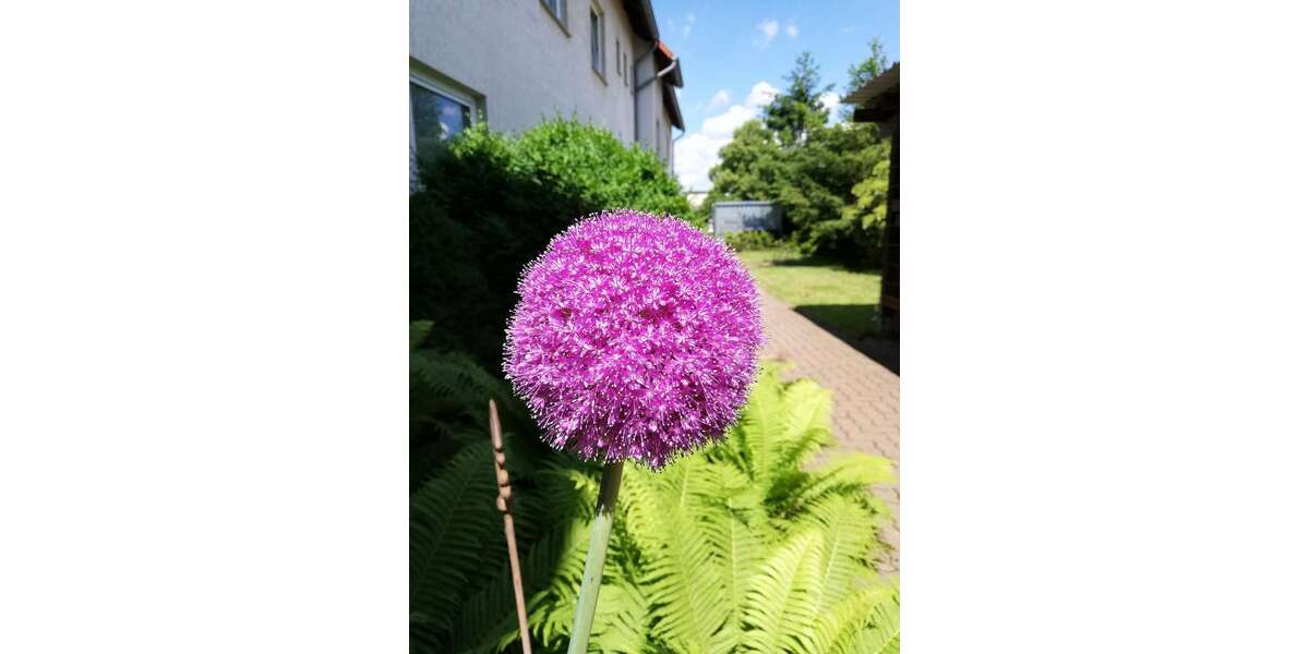 Gewerbeobjekt Wolfenbüttel Adersheim - 4.990&euro; | Angebot:25235343