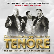 Himmlische Nacht der Tenöre - Das Original - Live und ohne technische Verstärkung Wolfenbüttel