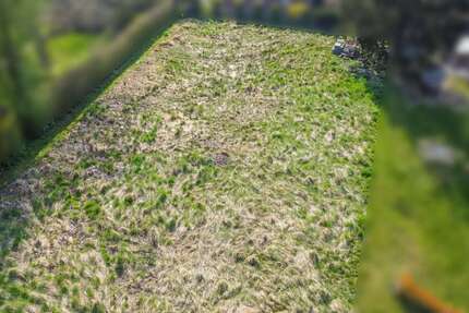 Grundstück zu verkaufen in Liebenburg Groß Döhren 69.000 € 1212 m² zimmer