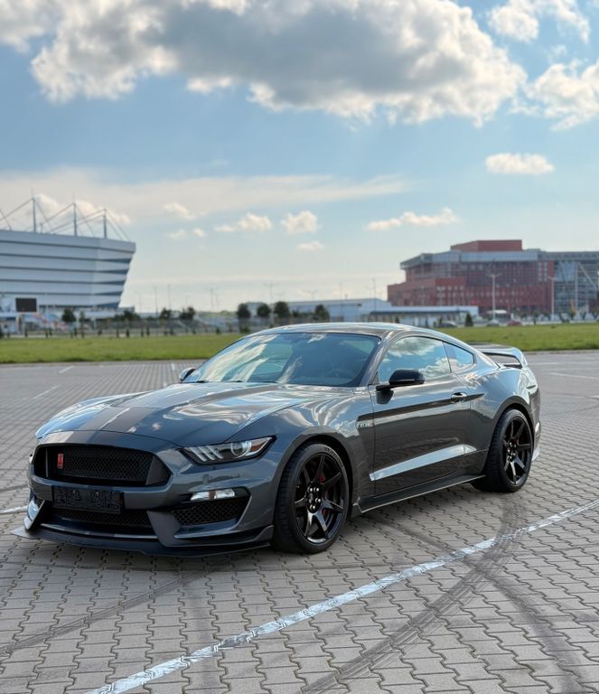 Mustang