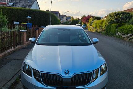 Skoda Octavia 36.000 km 14.600 € Braunschweig 38120