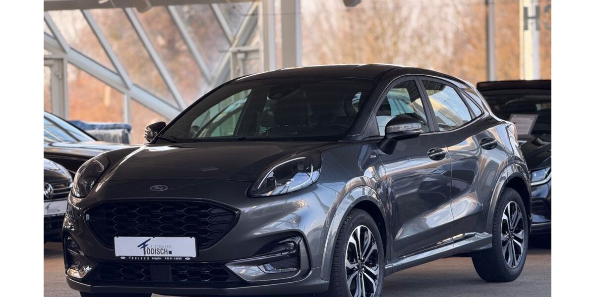 Ford Puma 88.000 km 14.290 &euro; Salzgitter 38228