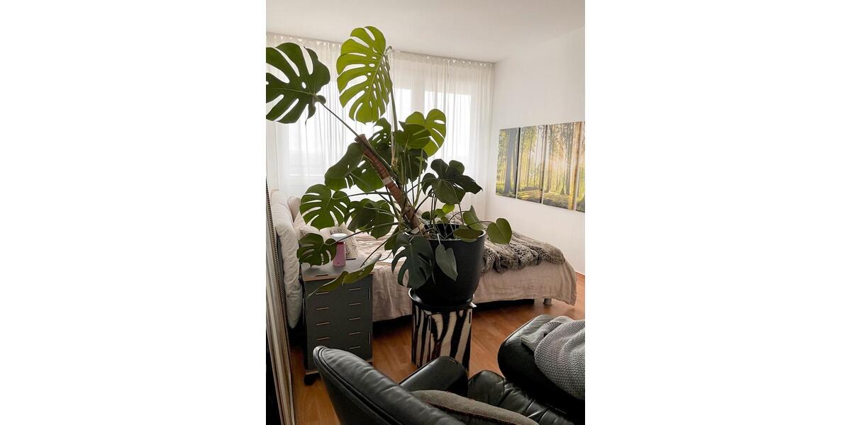 Etagenwohnung Braunschweig Östliches Ringgebiet - 2 Zimmer, 63 m&sup2;, 820&euro; | Angebot:25148049