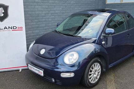 VW New Beetle 225.000 km 2.200 € Ohrum 38312