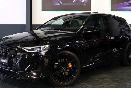 Audi e-tron 48.812 km 52.990 € Braunschweig 38112