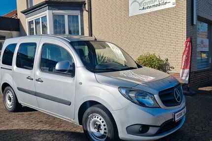 Mercedes-Benz Citan 197.945 km 6.499 &euro; Ilsede 31246