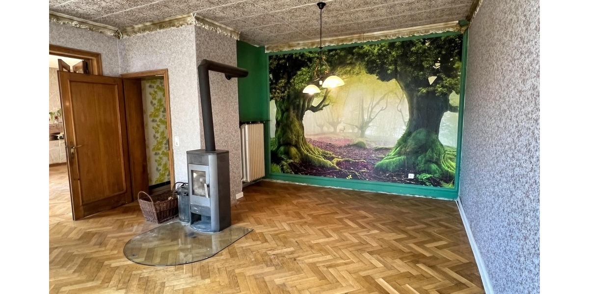 Saniertes Objekt mit großer Scheune 9 zimmer