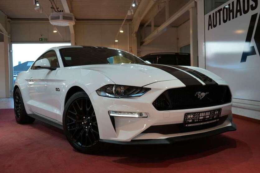 Mustang