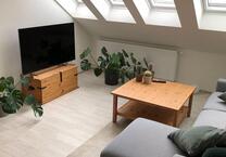 sehr helle Wohnung zu vermieten