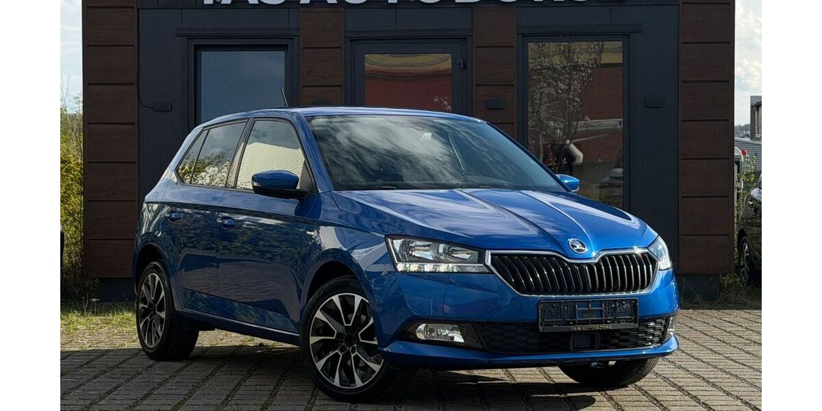 Skoda Fabia 128.200 km 7.900 &euro; salzgitter 38259