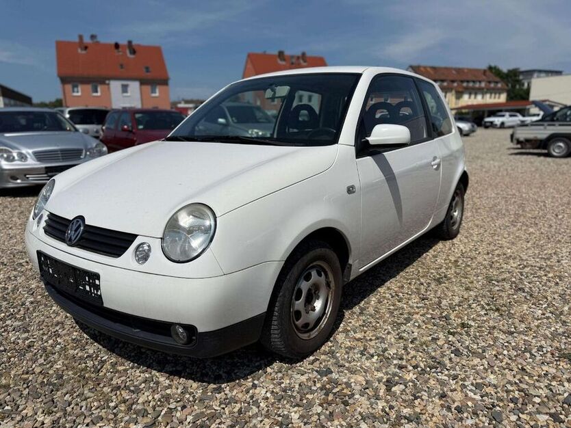 Lupo