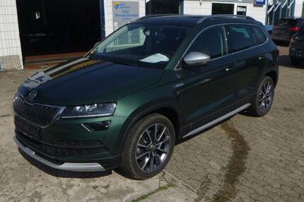Skoda Karoq 173.123 km 17.695 € Hillerse 38543