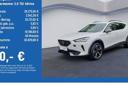 Cupra Formentor 21.100 km 28.475 &euro; Braunschweig 38114
