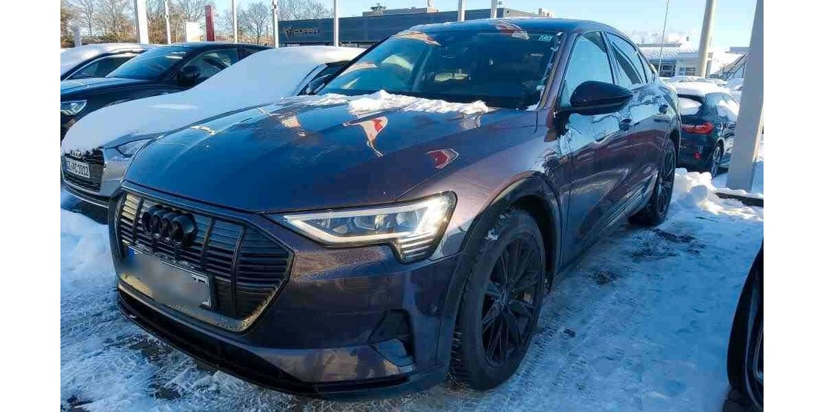 Audi e-tron 17.600 km 31.950 &euro; Salzgitter 38259