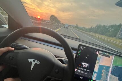 Tesla Model 3 186.000 km 22.000 &euro; Braunschweig 38126