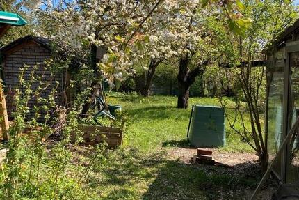 Wohnung Goslar Immenrode - 3 Zimmer, 75 m&sup2;, 650&euro; | Angebot:26313197