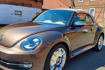 VW Beetle