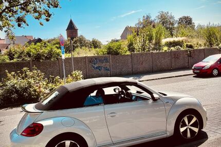 VW Beetle
