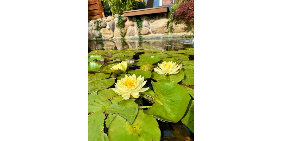 Einfamilienhaus Hildesheim Itzum-Marienburg - 4 Zimmer, 140 m&sup2;, 649.000&euro; | Angebot:26065923