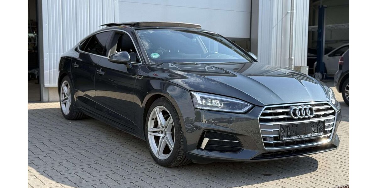 Audi A5 110.085 km 26.190 &euro; Hildesheim 31137