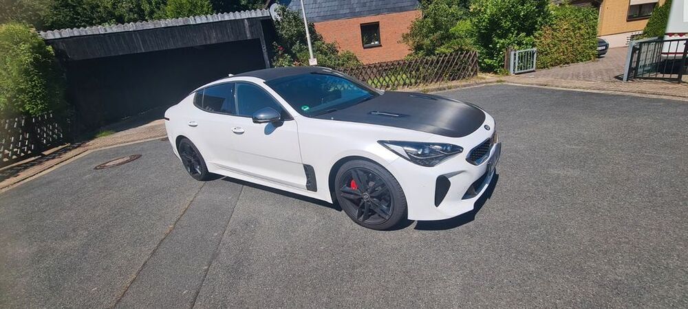 Stinger