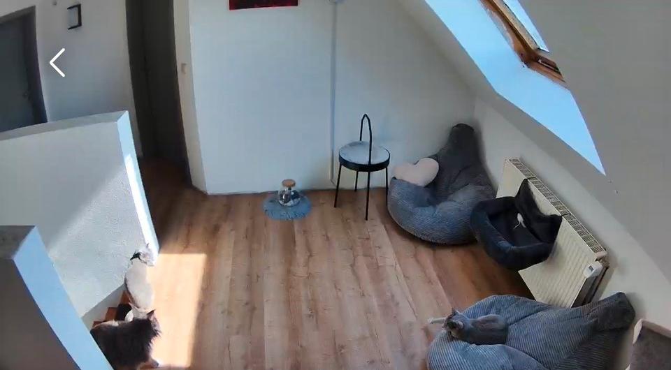 Haus zur Miete 6 zimmer