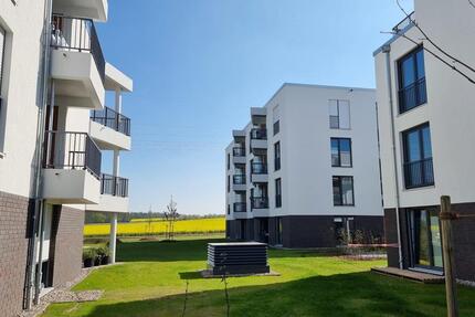 Wohnung Braunschweig Heidberg-Melverode - 1 Zimmer, 56 m&sup2;, 699&euro; | Angebot:24307389