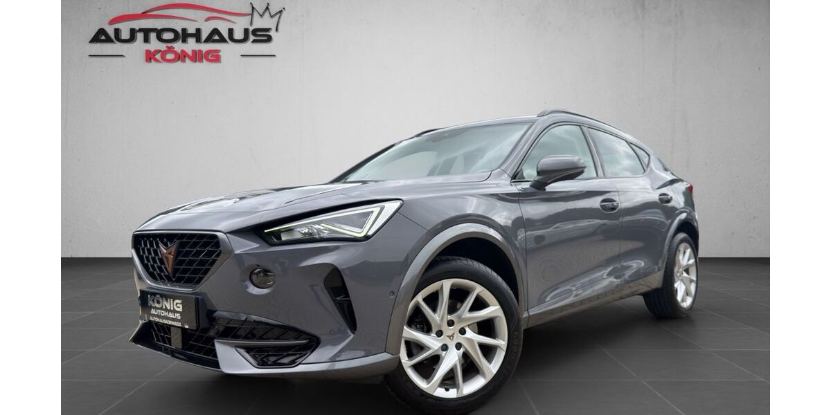 Cupra Formentor 62.200 km 25.900 &euro; Salzgitter 38259
