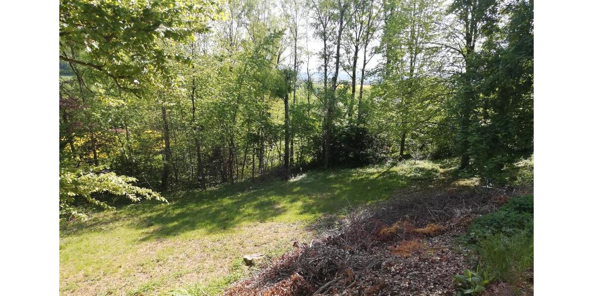 Bungalow Hedeper - 8 Zimmer, 239 m&sup2;, 500.000&euro; | Angebot:26387781
