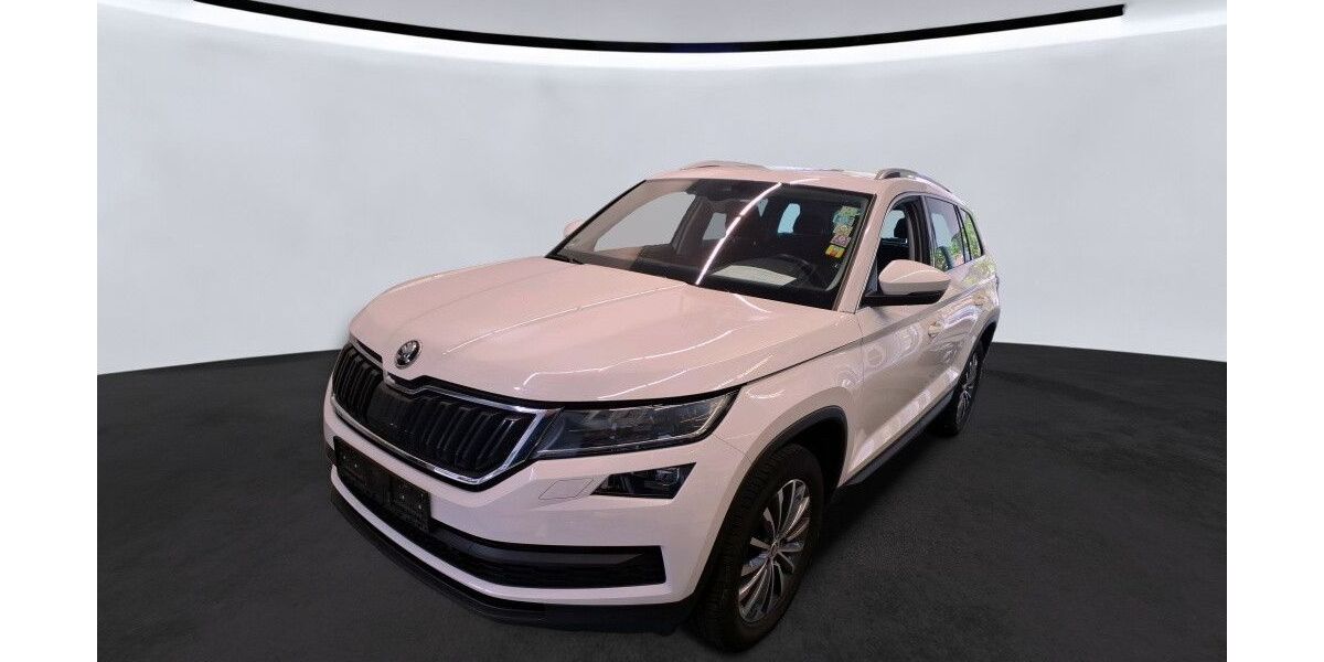 Skoda Kodiaq 179.000 km 20.590 € Peine 31228