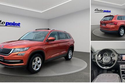 Skoda Kodiaq 163.000 km 20.950 € Goslar 38644
