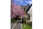 Einfamilienhaus Langelsheim - 4 Zimmer, 150 m&sup2;, 425.000&euro; | Angebot:27279664