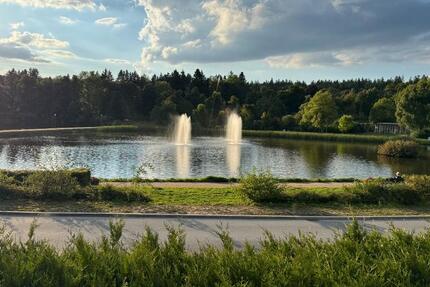 Wohnung Goslar OS Hahnenklee-Bockswiese - 2 Zimmer, 59 m&sup2;, 74.000&euro; | Angebot:24692669