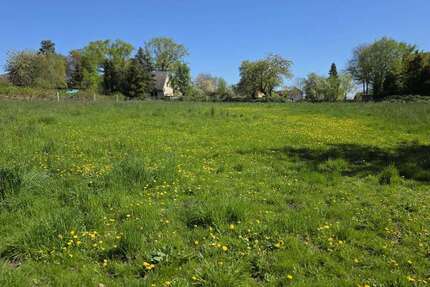 Grundstück Schellerten - Garbolzum Garbolzum - 249.000&euro; | Angebot:27311063