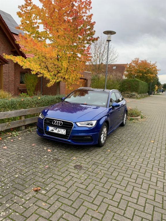 A3