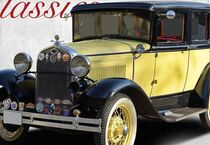 Ford Andere