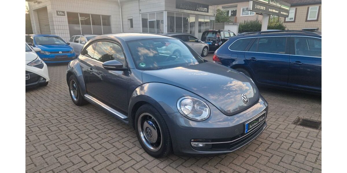 VW Beetle 164.000 km 8.999 € Wolfenbüttel 38302