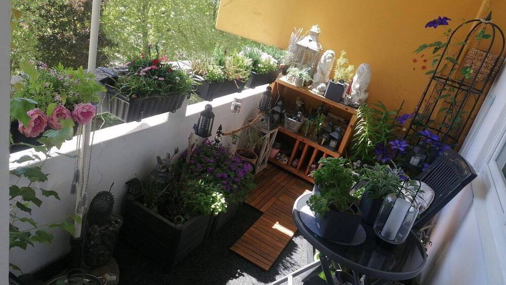 Etagenwohnung Braunschweig Lehndorf-Watenbüttel - 3 Zimmer, 80 m&sup2;, 239.000&euro; | Angebot:26816831