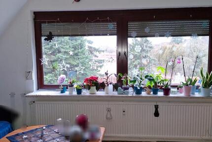 Wohnung Goslar Jürgenohl - 4 Zimmer, 80 m&sup2;, 480&euro; | Angebot:25048534