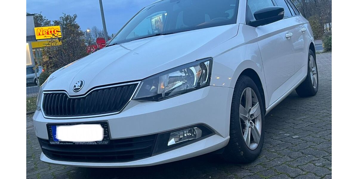 Skoda Fabia 269.000 km 4.690 € Salzgitter 38226