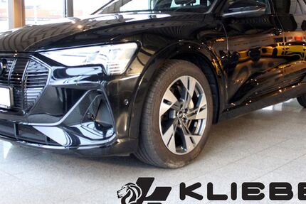 Audi e-tron 60.000 km 33.770 &euro; Braunschweig 38112