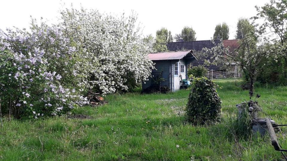 Einfamilienhaus Meine - 439.000&euro; | Angebot:27269902